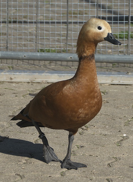 突破